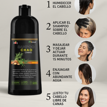 [Compra 1, Lleva 2] Champú Unissex 3x1 AntiCanas - Luce 10 Años Más Joven